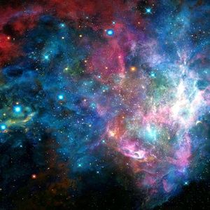 Meet your Posher, Lee